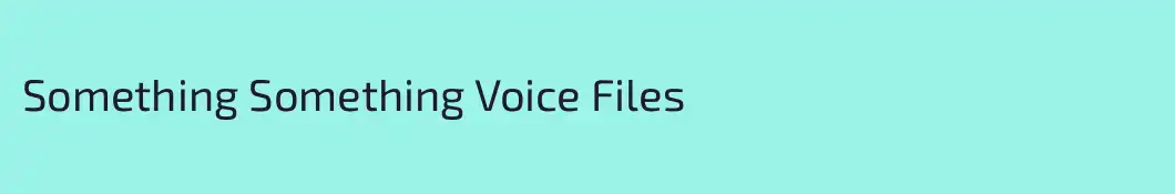 Something Something Voice Files